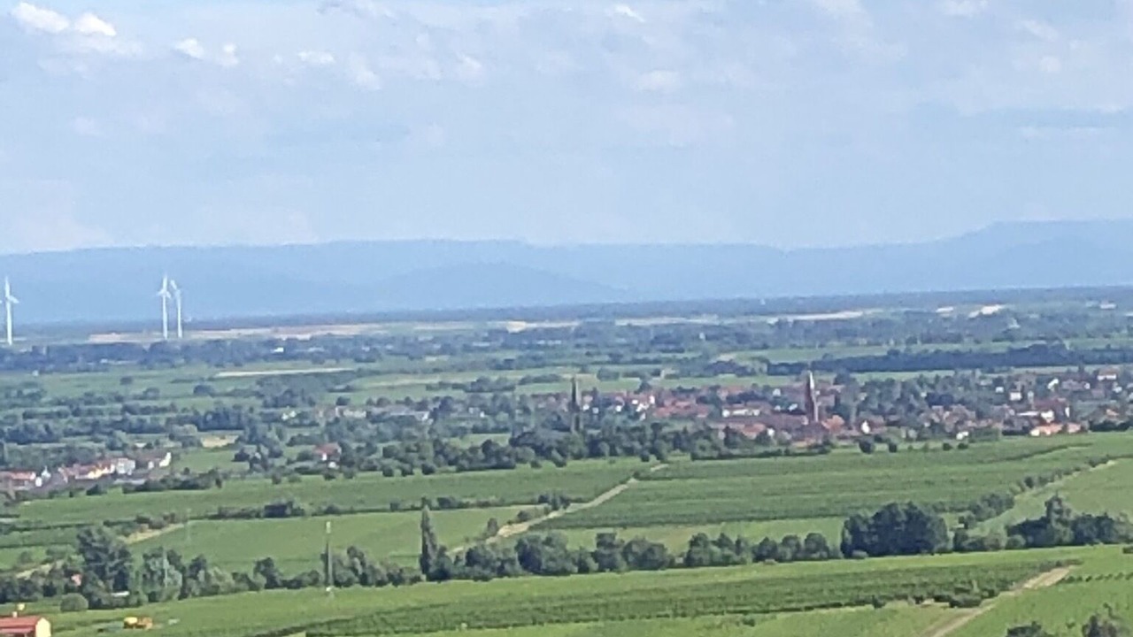 Photo of Outdoor in Rhodt unter Rietburg