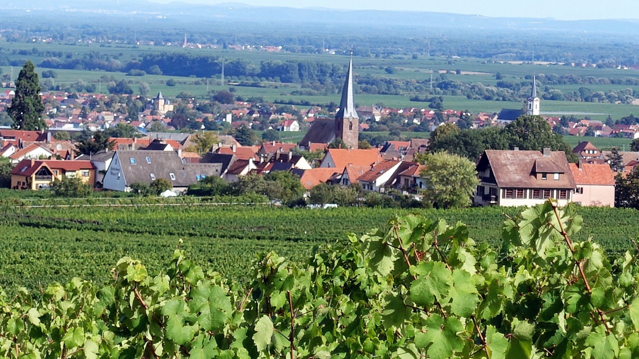Photo of Outdoor in Rhodt unter Rietburg