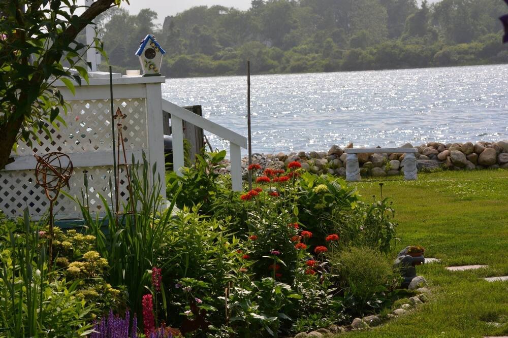 Photo of Others in Snug Harbor