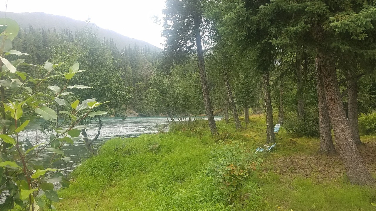Photo of Outdoor in Cooper Landing