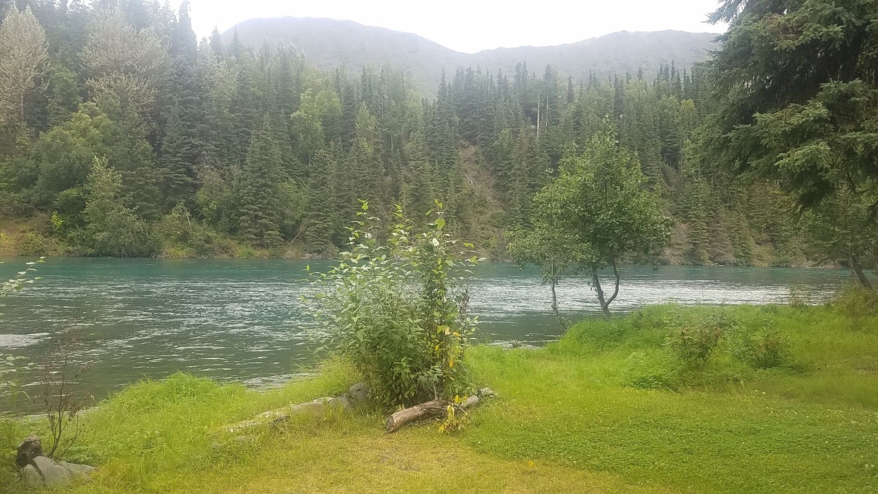 Photo of Outdoor in Cooper Landing