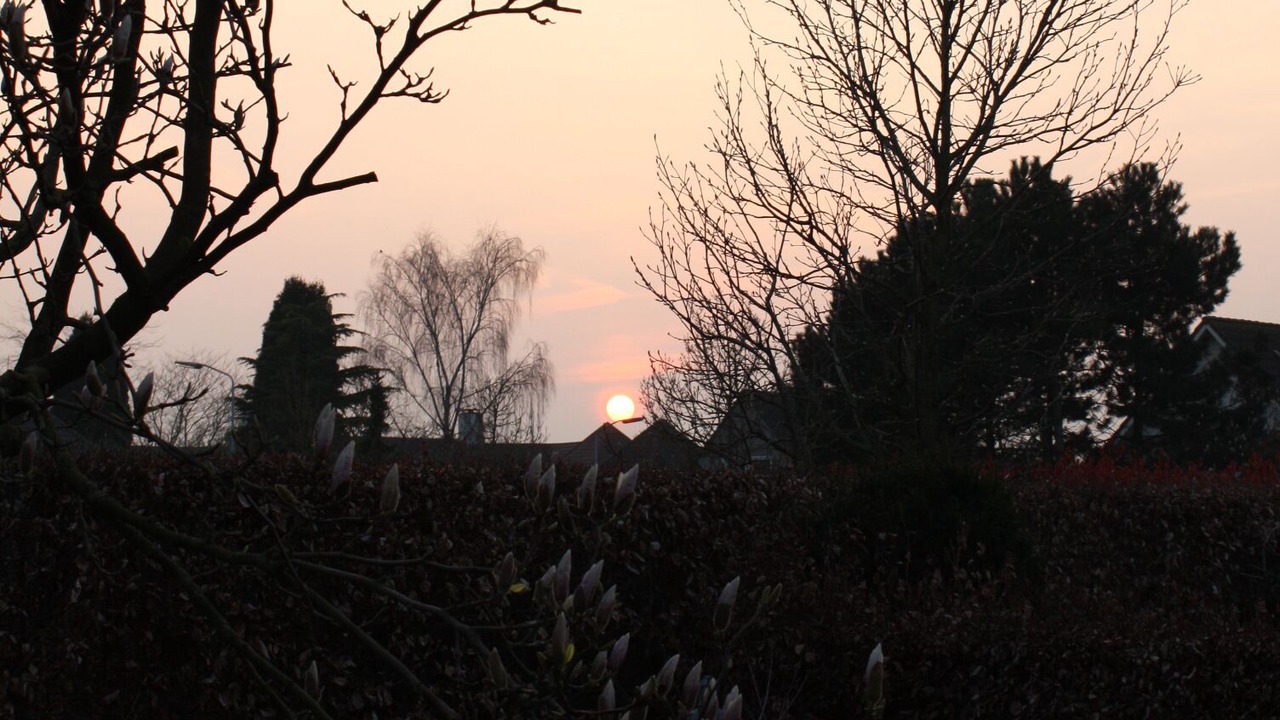 Photo of Outdoor in Vlijmen