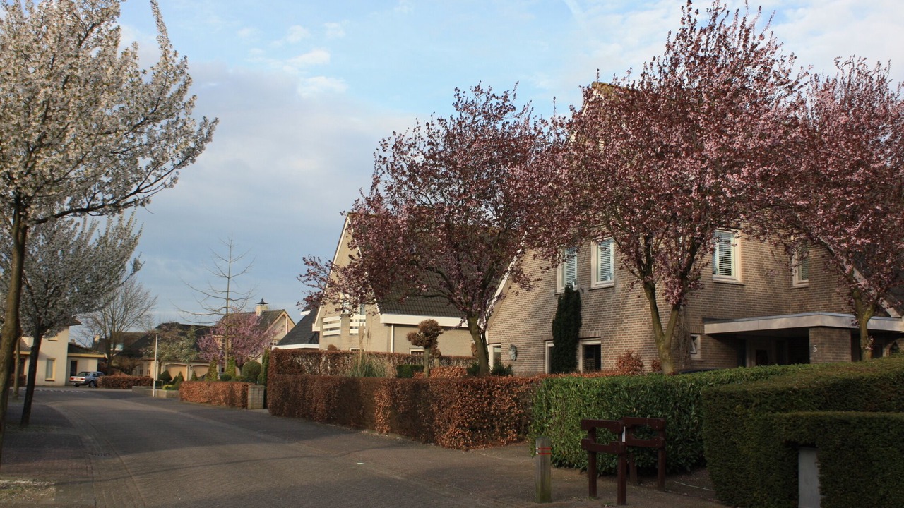 Photo of Outdoor in Vlijmen