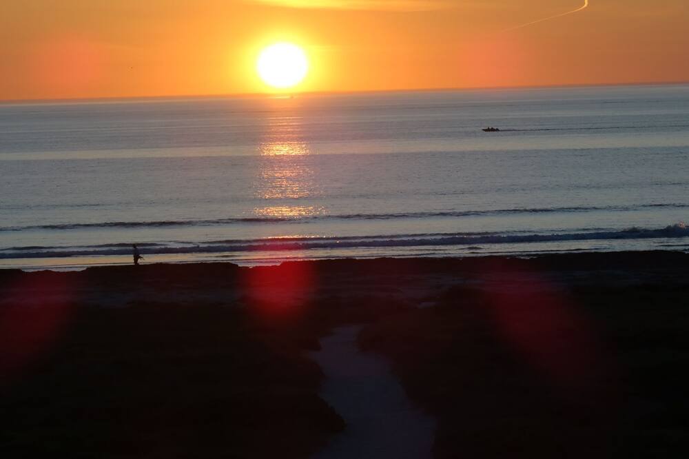 Photo of Others in Largs North