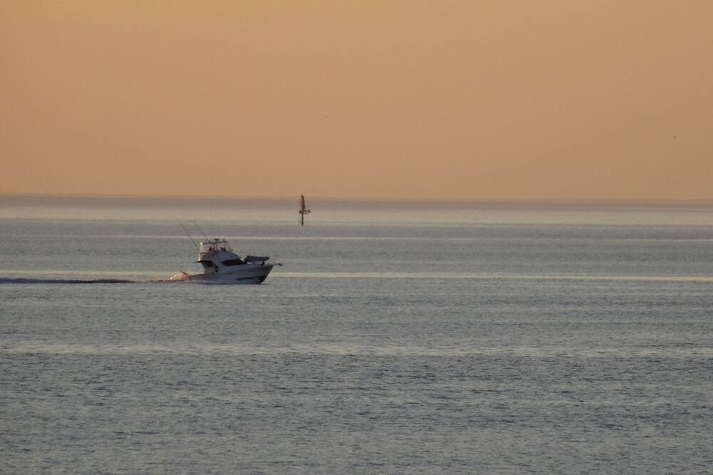 Photo of Others in Largs North