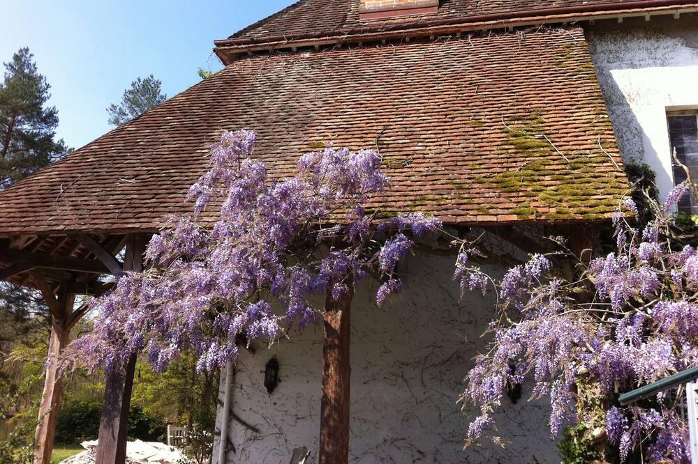 Photo of Outdoor in Gy-en-Sologne
