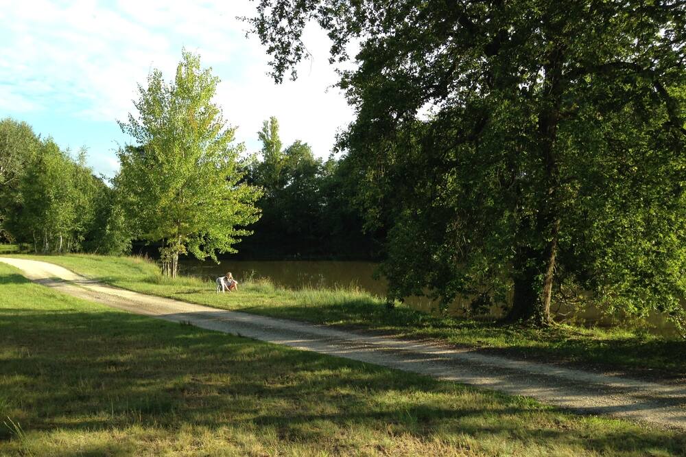 Photo of Outdoor in Gy-en-Sologne