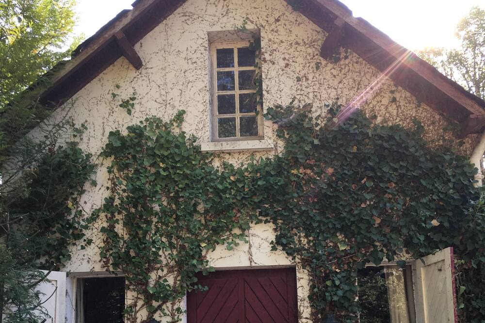 Photo of Outdoor in Gy-en-Sologne