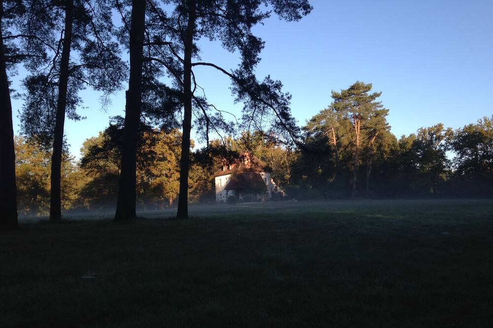 Photo of Outdoor in Gy-en-Sologne