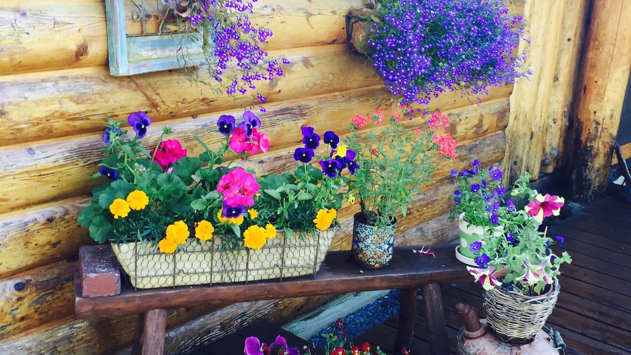 Photo of Outdoor in Primrose