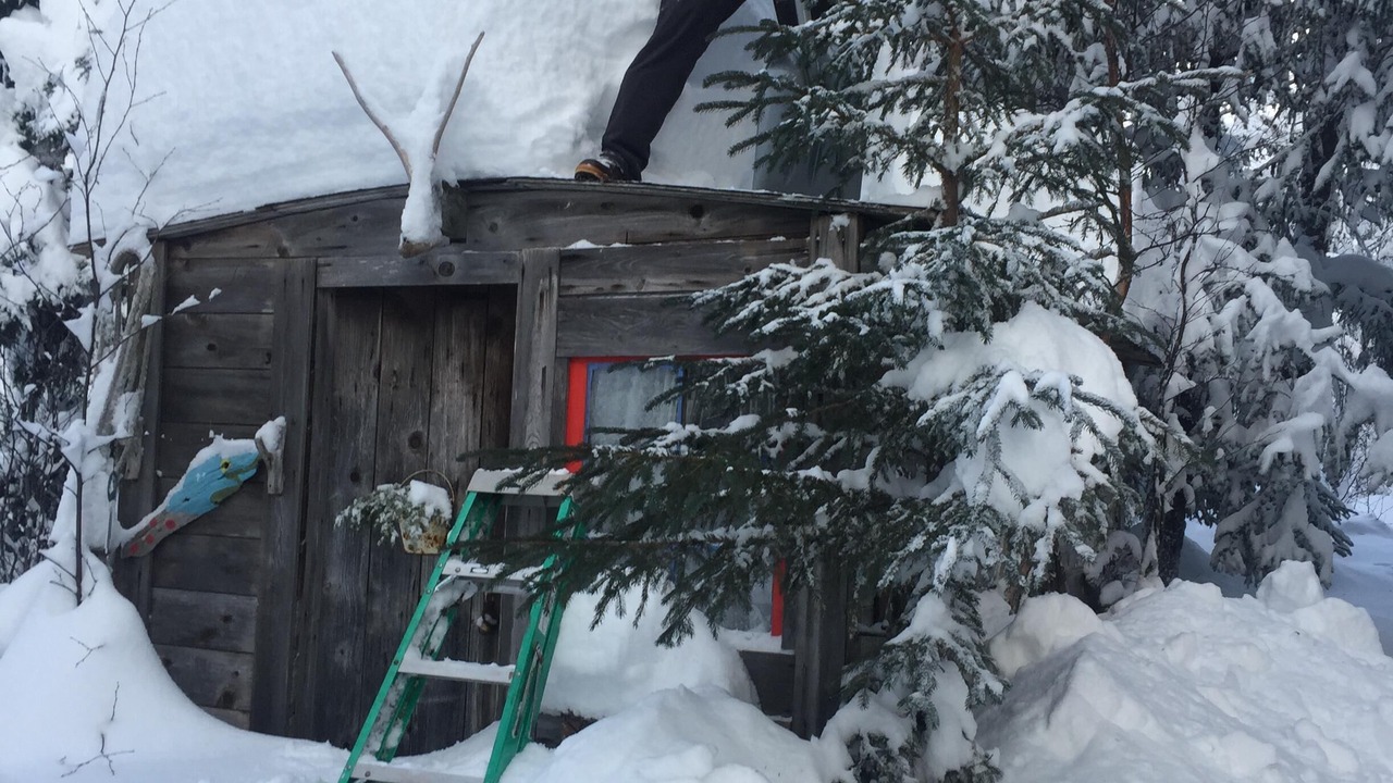 Photo of Outdoor in Primrose