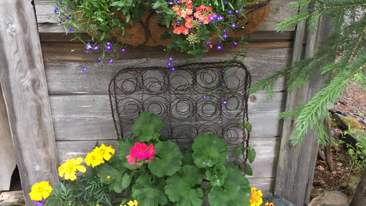 Photo of Outdoor in Primrose