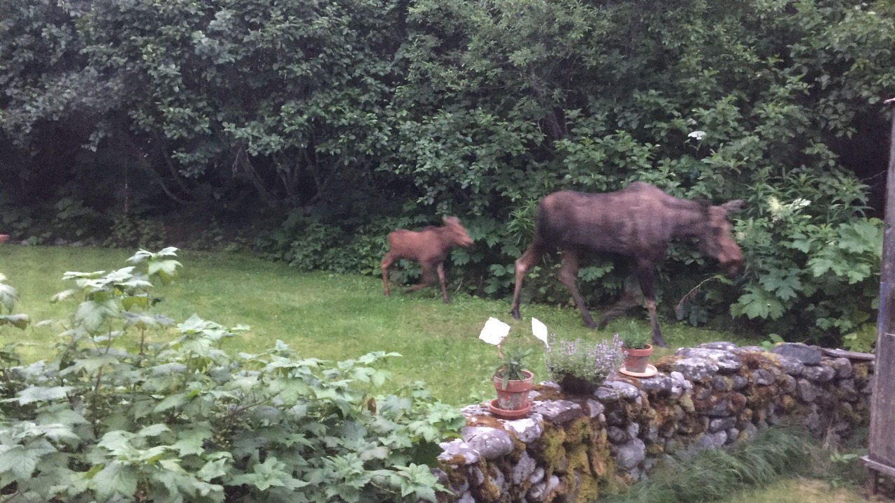 Photo of Outdoor in Primrose