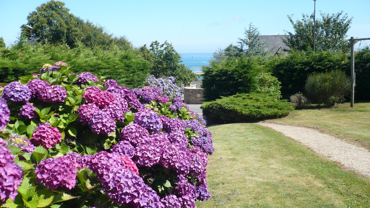 Photo of Outdoor in Louannec