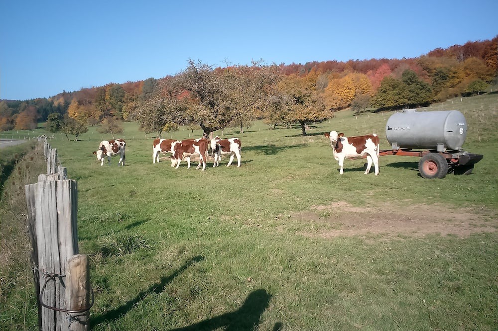 Photo of Outdoor in Bouxwiller