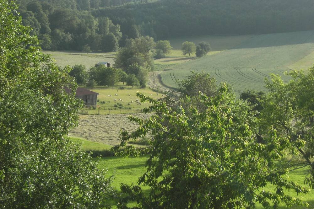 Photo of Outdoor in Bouxwiller