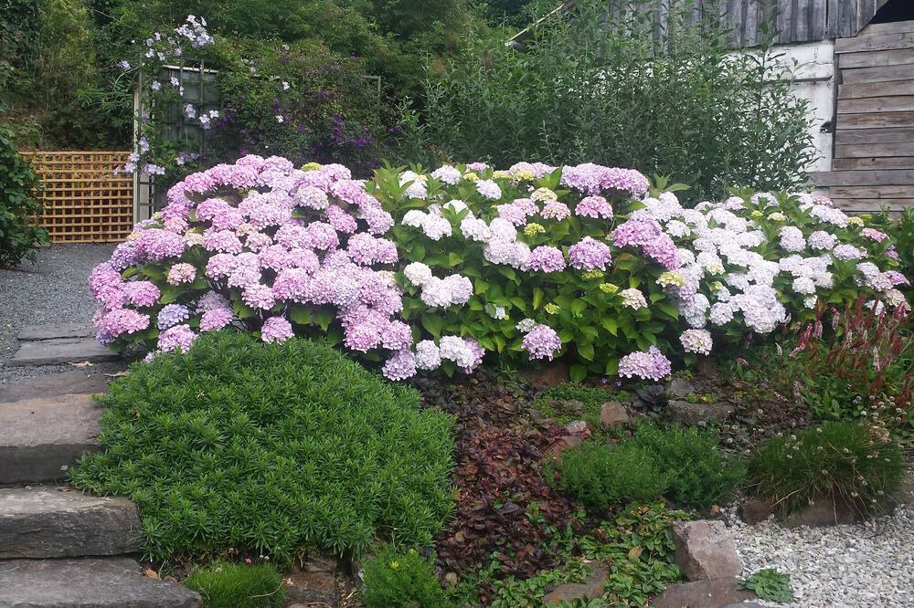 Photo of Outdoor in Plelauff