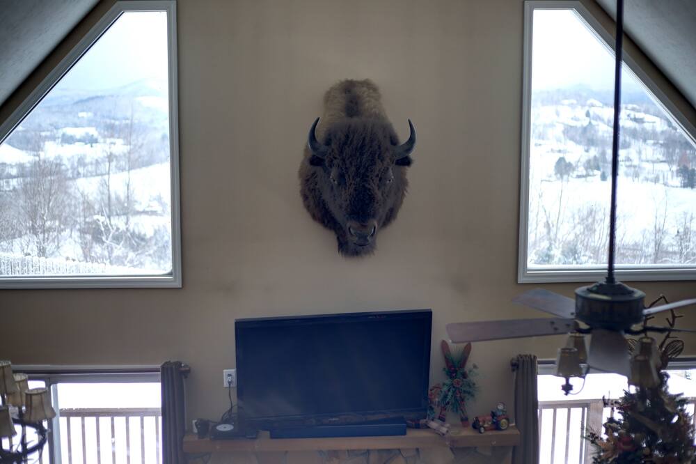 Photo of Livingroom in Hayesville