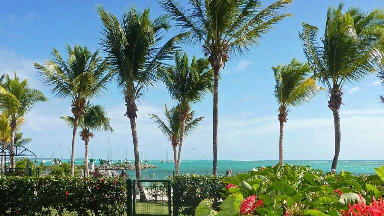 Photo of Outdoor in Saint-Francois