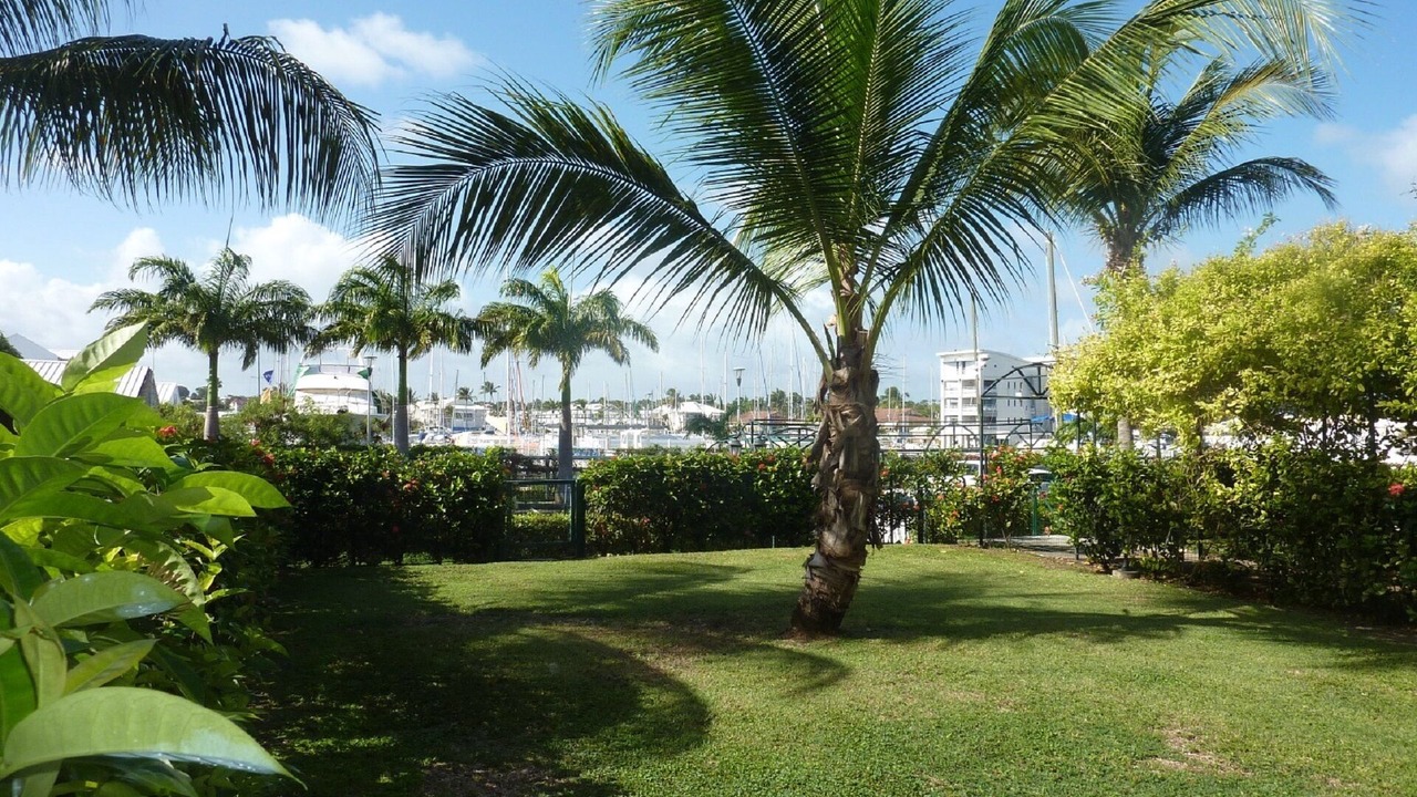 Photo of Outdoor in Saint-Francois