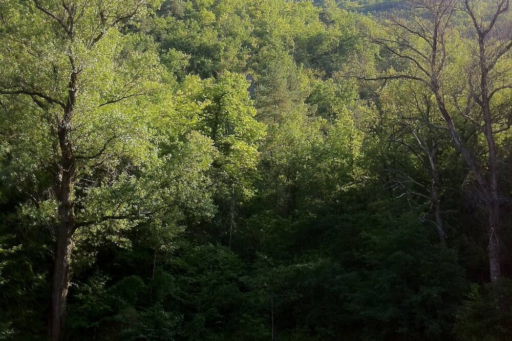 Photo of Others in Millau