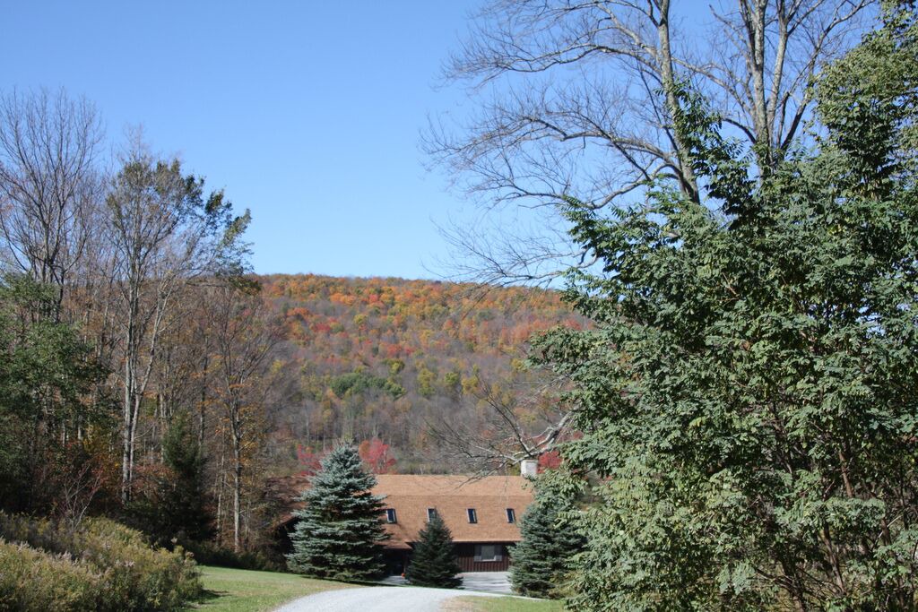 Photo of Outdoor in Union Dale