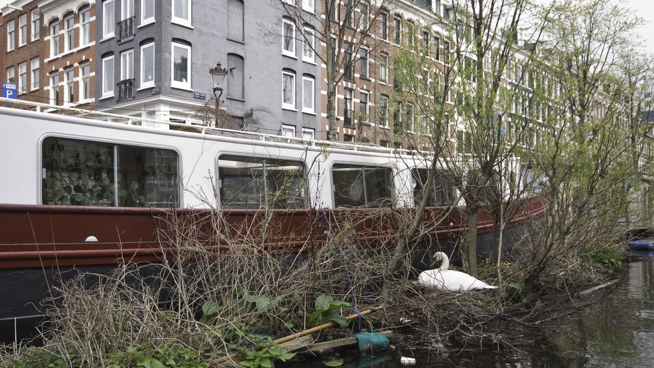 Photo of Outdoor in Amsterdam City Centre