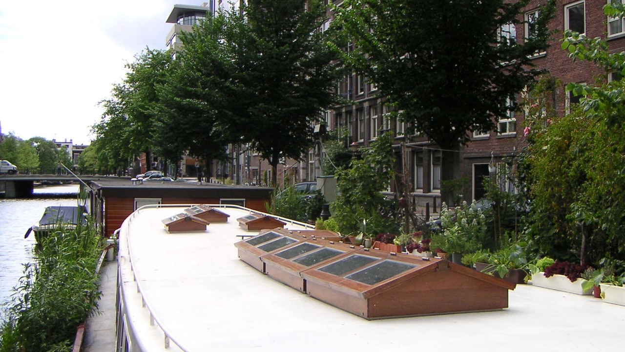 Photo of Outdoor in Amsterdam City Centre