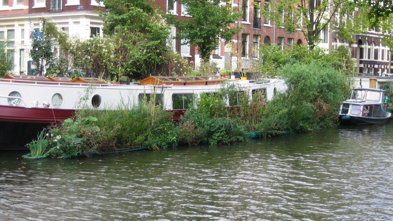 Photo of Outdoor in Amsterdam City Centre