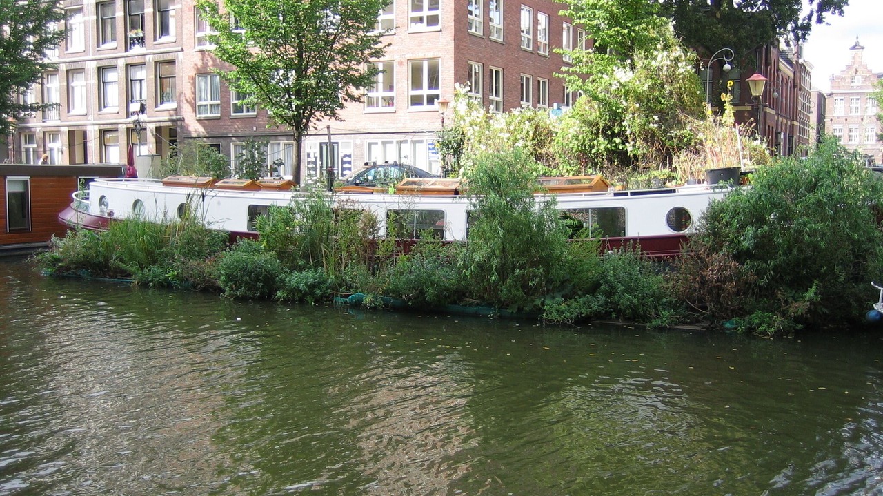 Photo of Outdoor in Amsterdam City Centre