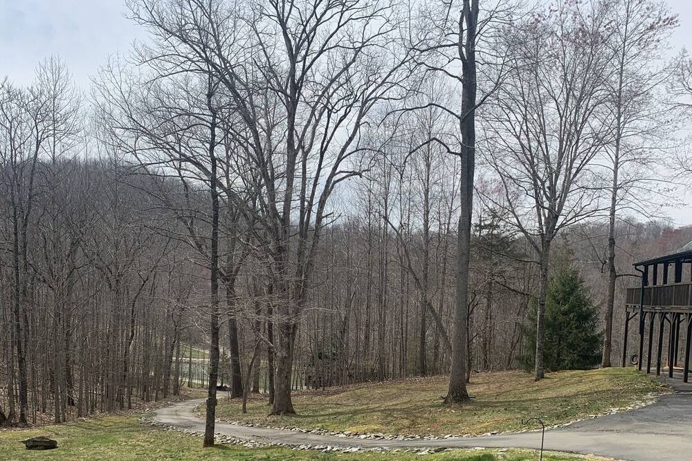 Photo of Others in Goode
