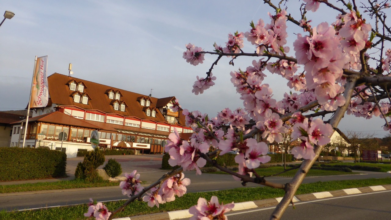 Photo of Outdoor in Schweigen-Rechtenbach