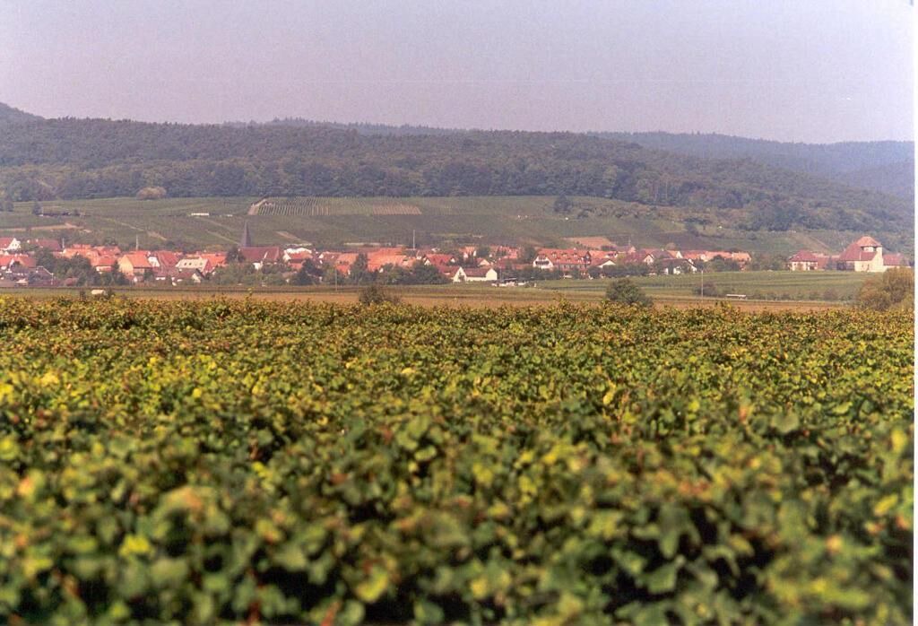 Photo of Outdoor in Schweigen-Rechtenbach