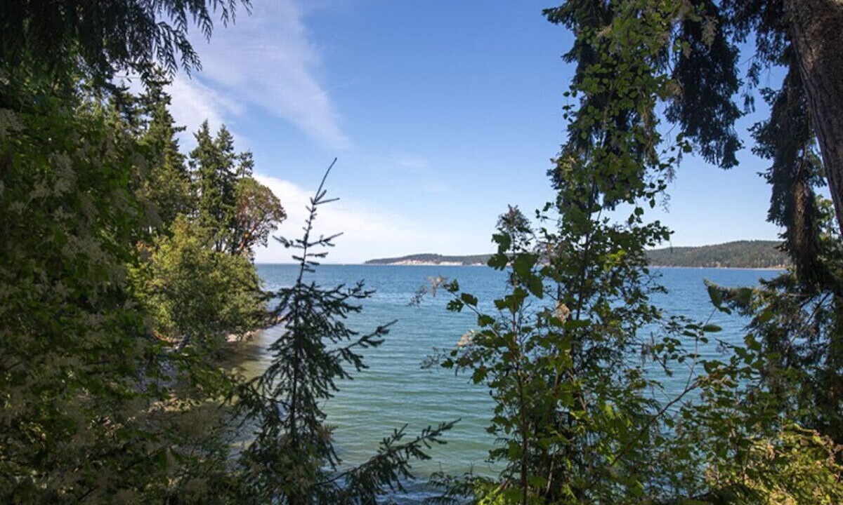 Photo of Others in Sequim