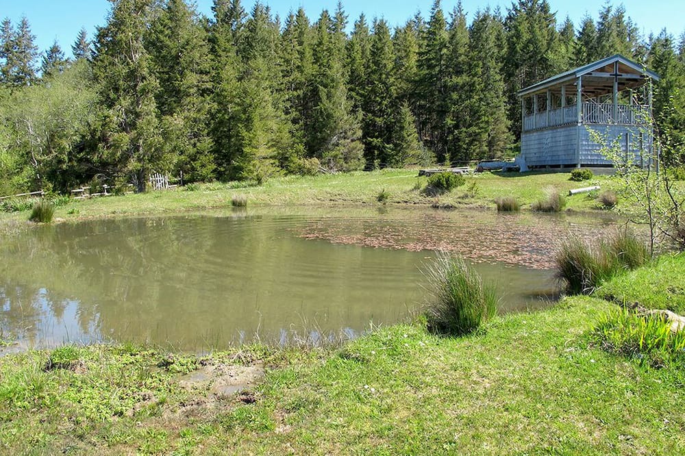 Photo of Outdoor in Langlois