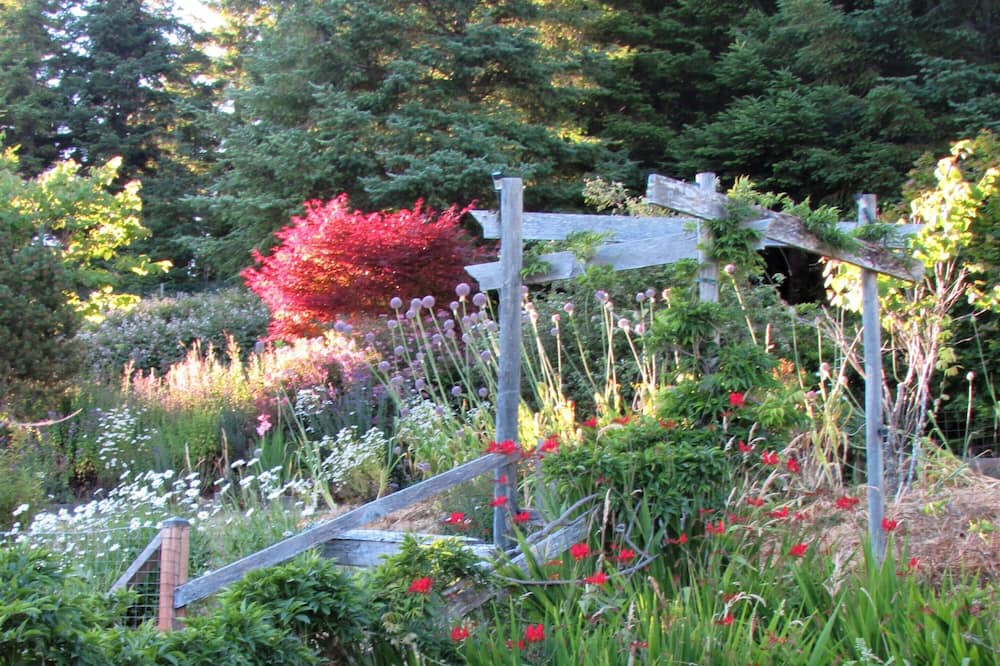 Photo of Outdoor in Langlois