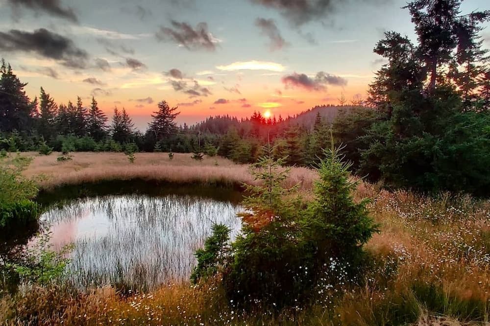 Photo of Outdoor in Langlois