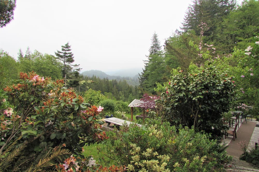 Photo of Outdoor in Langlois