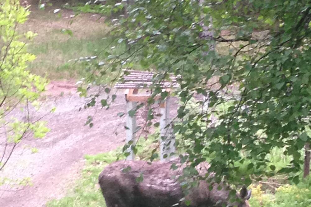 Photo of Others in Rabbit Creek