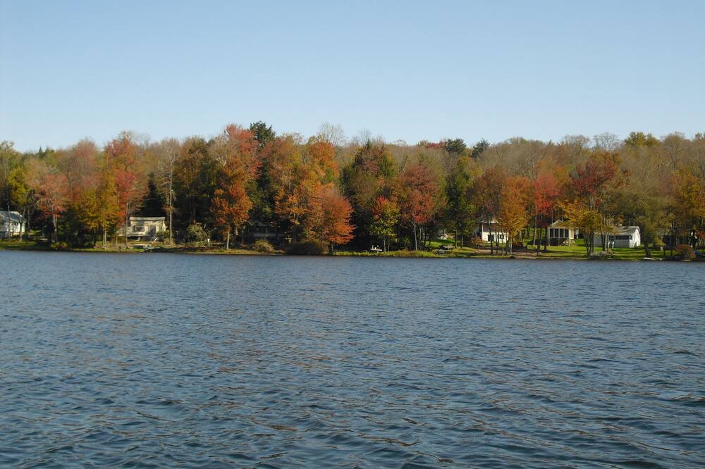 Photo of Others in Union Dale