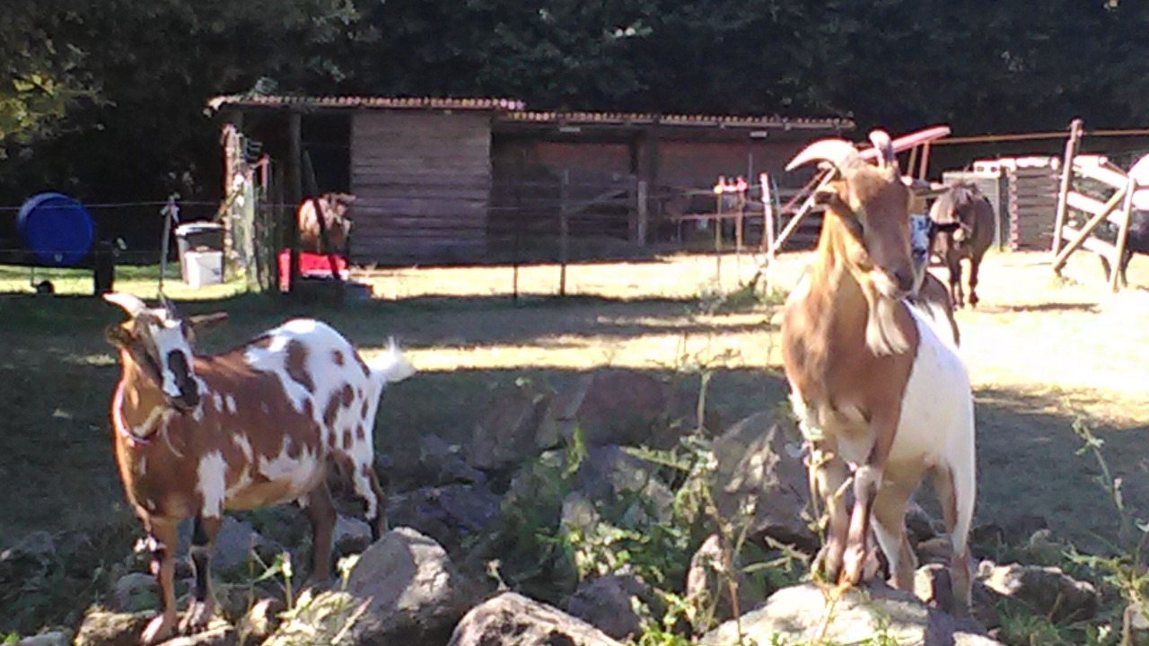 Photo of Outdoor in Plounevez-Moedec