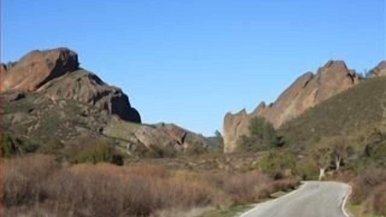 Photo of Others in Soledad