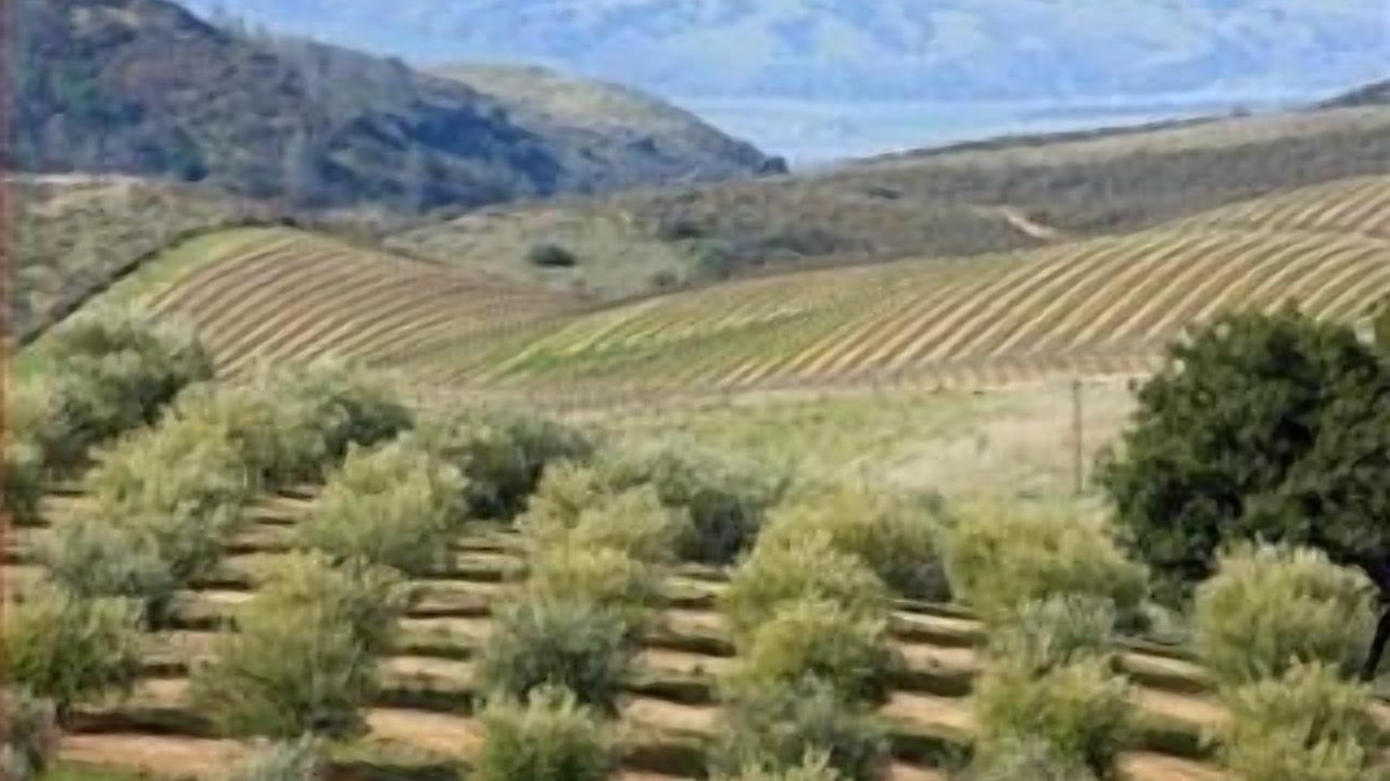 Photo of Outdoor in Soledad