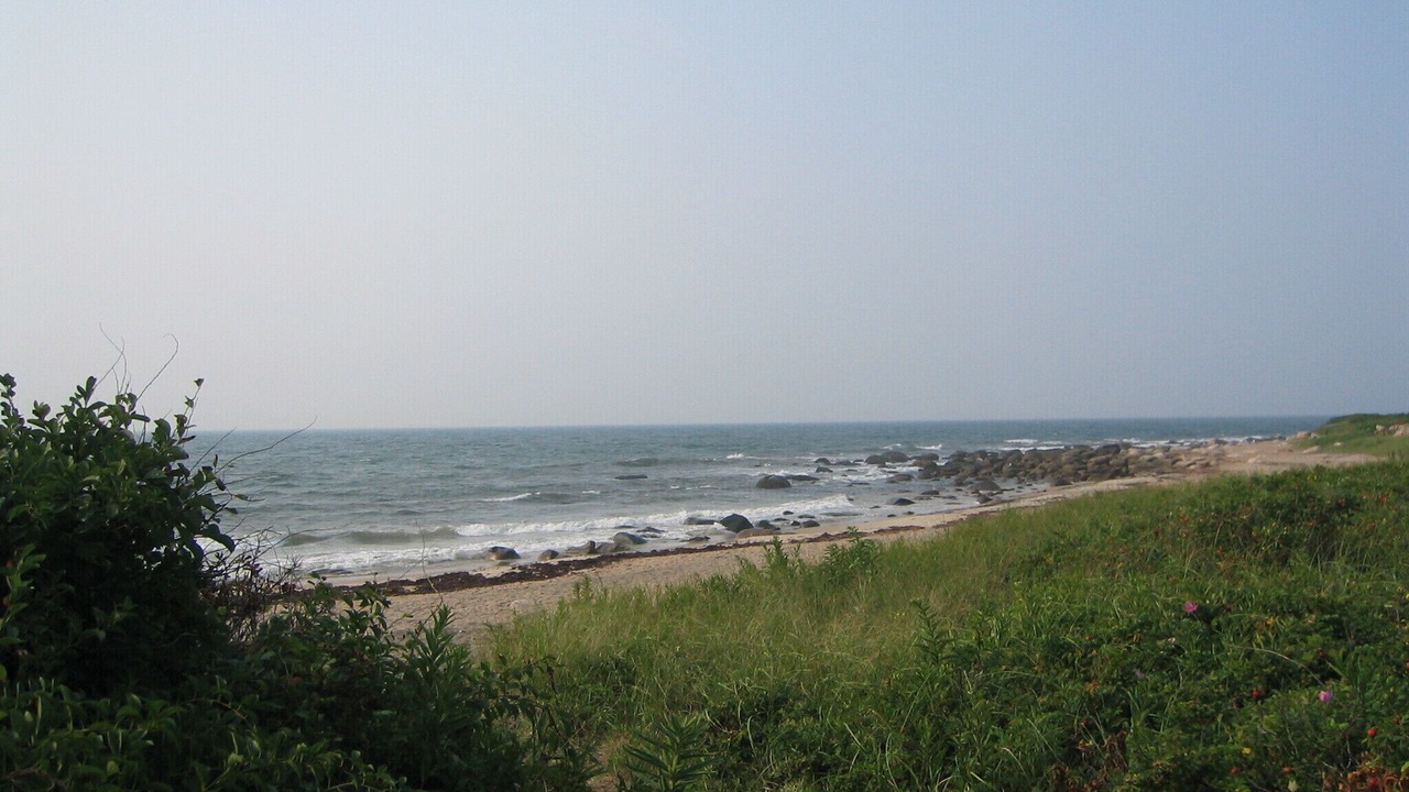 Photo of Others in Quonochontaug