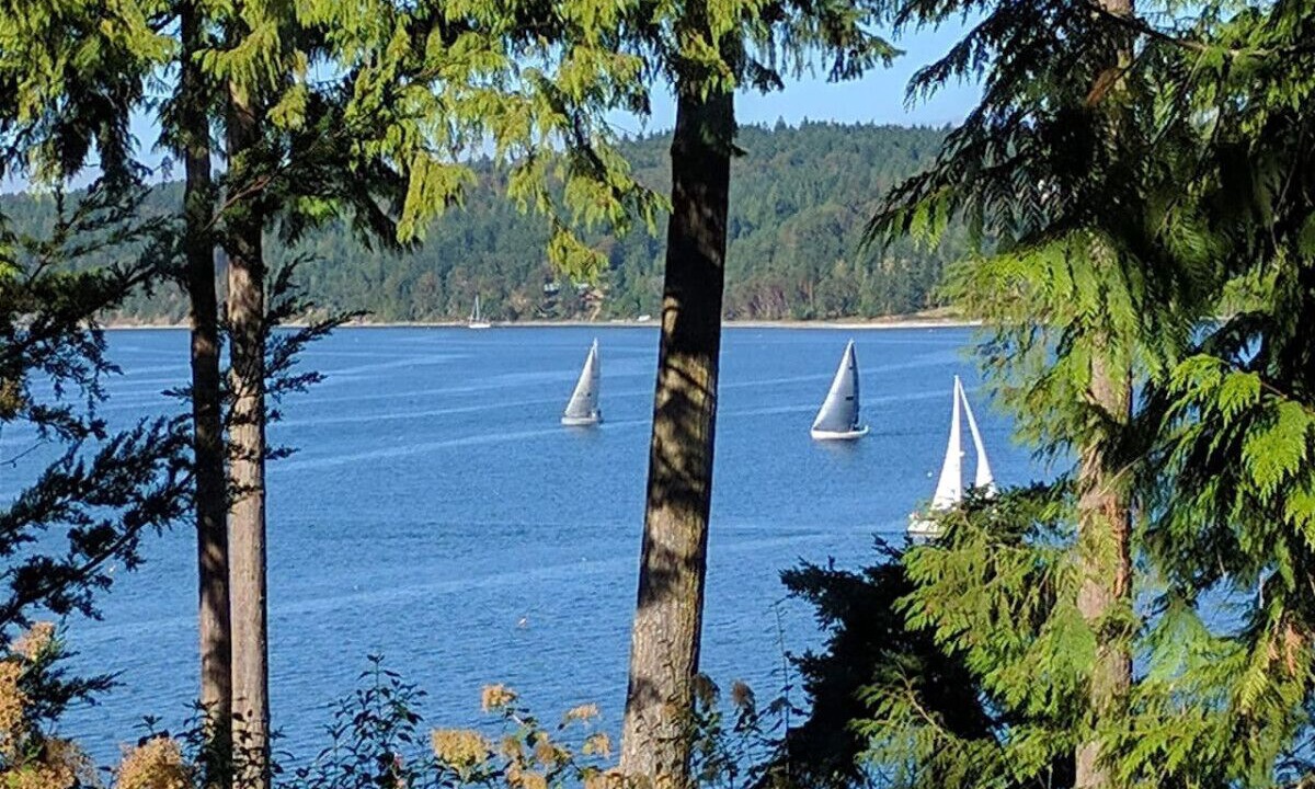 Photo of Others in Sequim