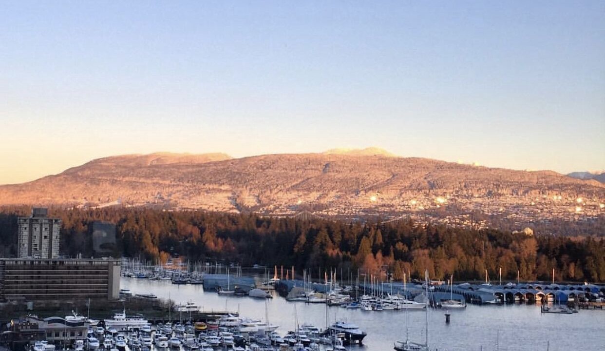 Photo of Livingroom in Coal Harbour