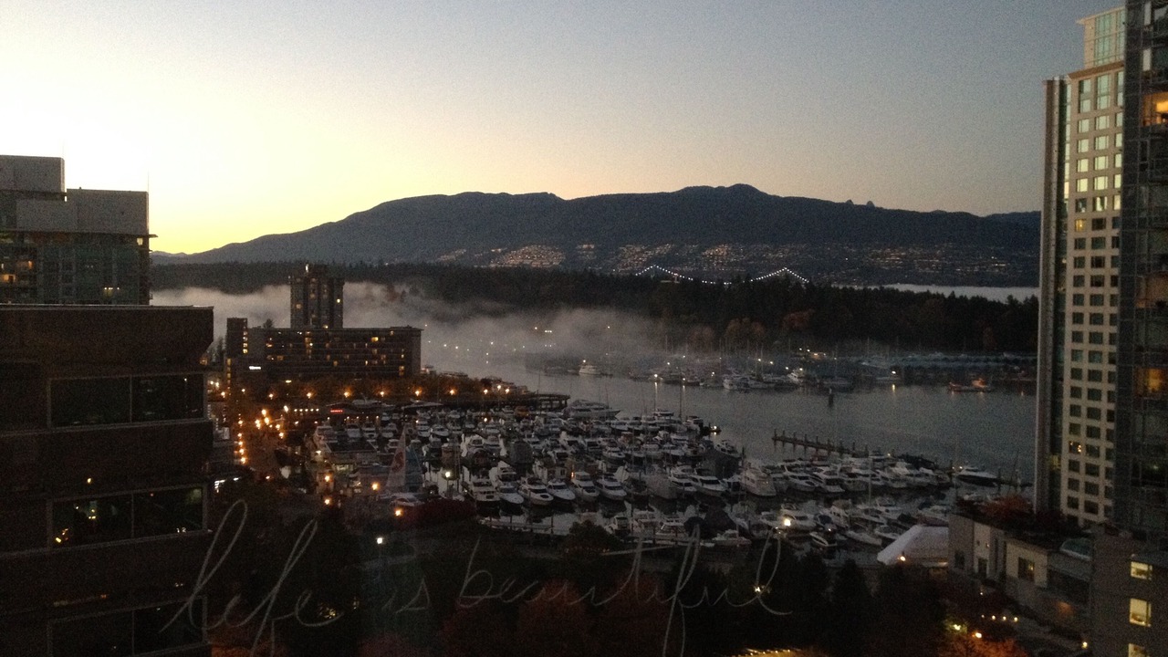 Photo of Others in Coal Harbour