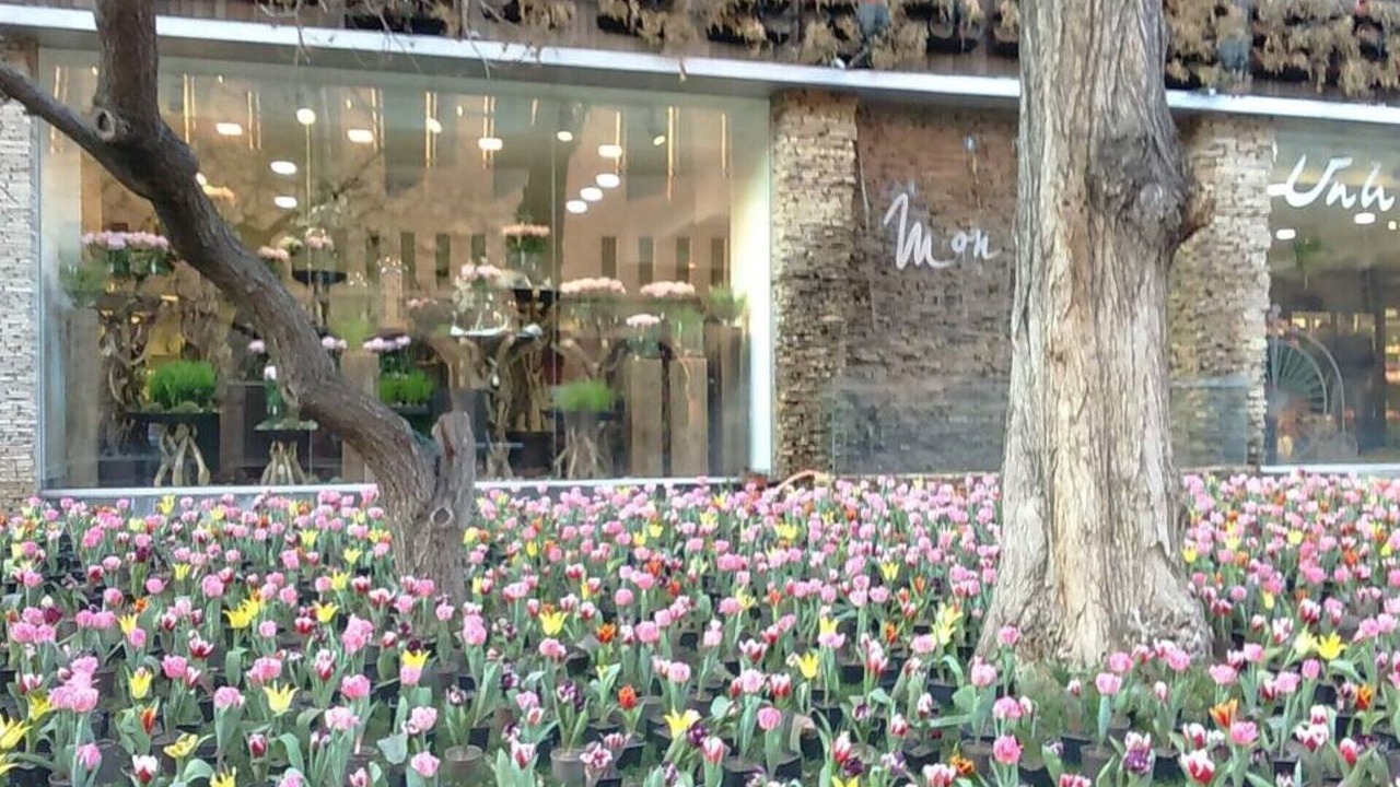 Photo of Outdoor in Kentron
