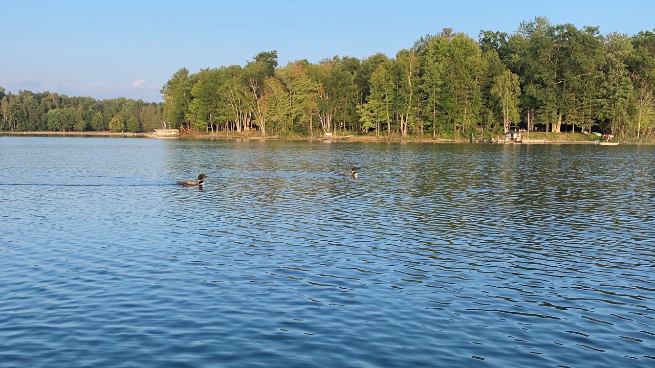 Photo of Outdoor in Townsend