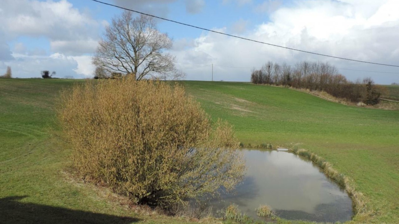 Photo of Others in Mauves-sur-Huisne